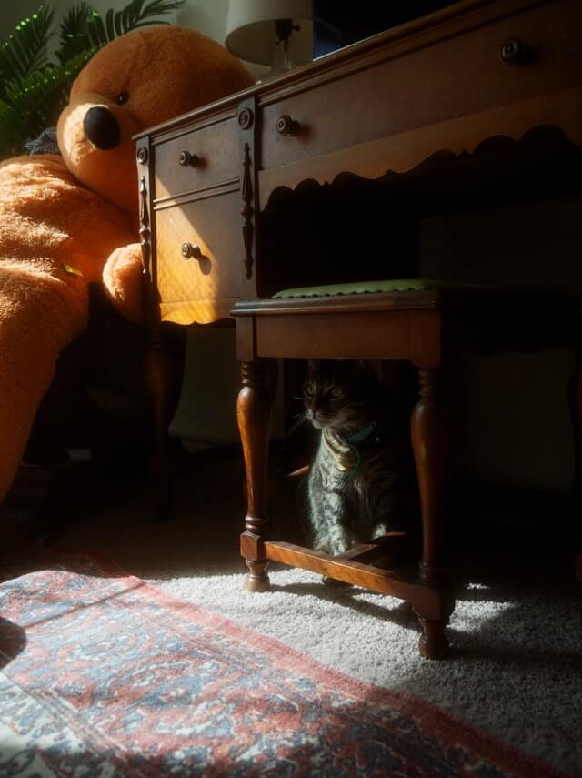 old desk, small stool under it, cat under the stool in the deep shade