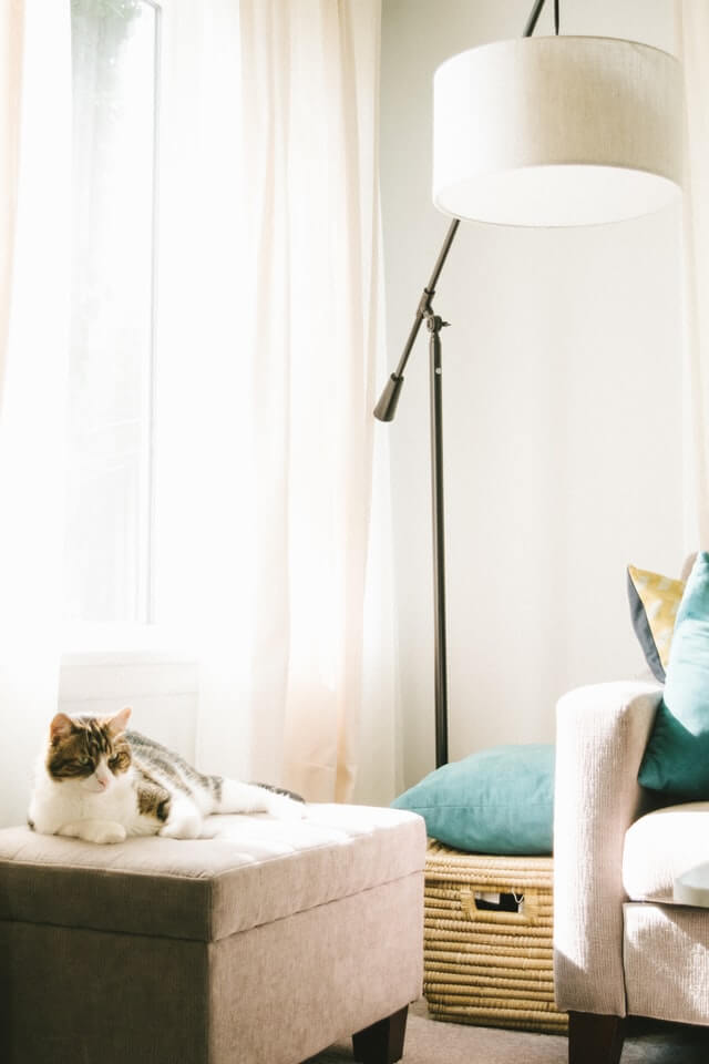 cat lying on a puff, modern style furnishings, modern style lamp in a corner, white vail curtain behind the cat